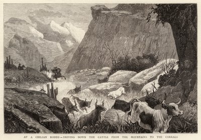 Bij een Chileense Rodeo, het Vee uit de Bergen naar de Kralen drijven door John Charles Dollman
